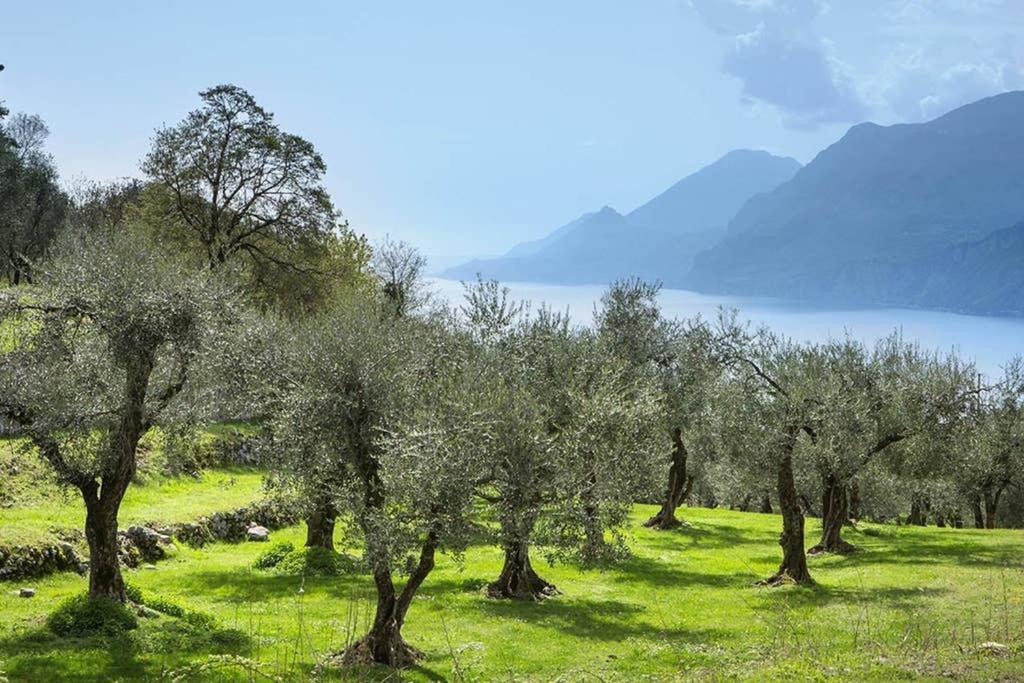 Villa Siresola Malcesine Exteriör bild
